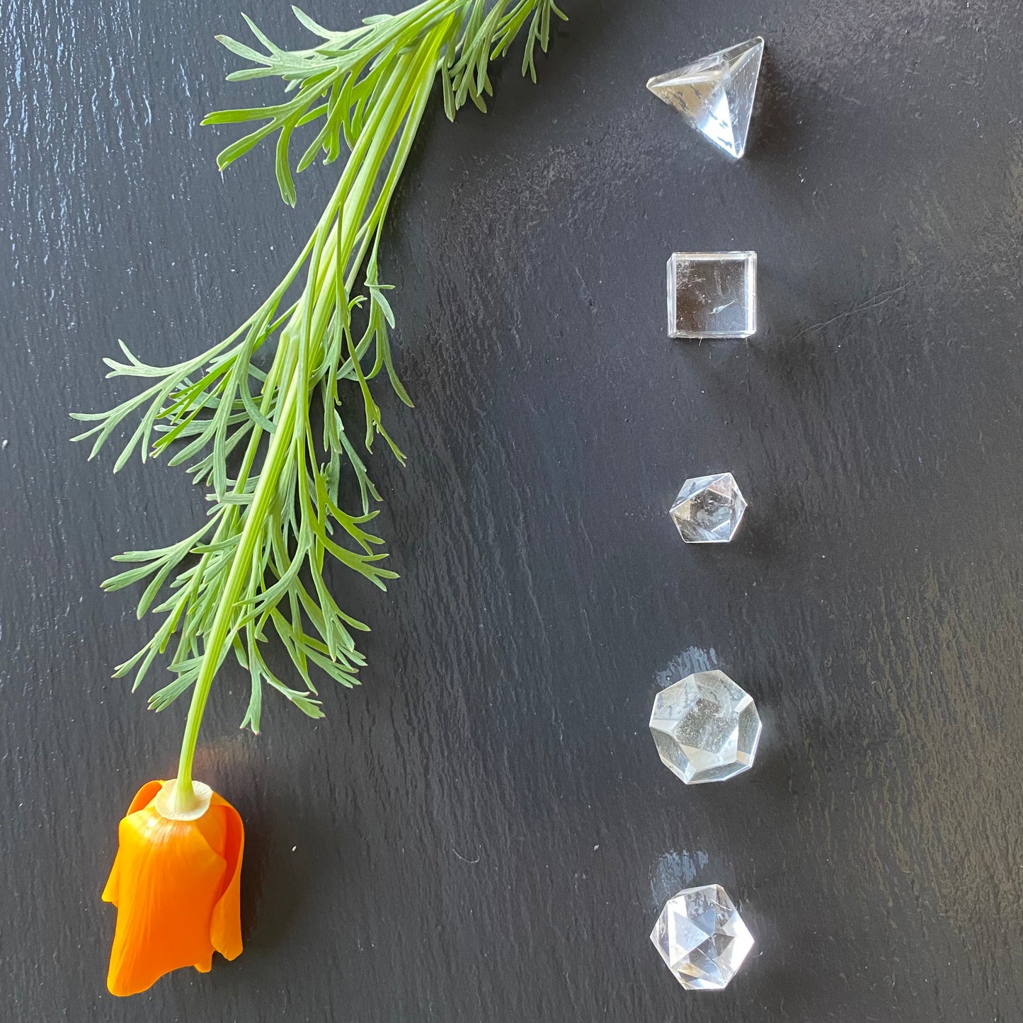 CLEAR QUARTZ PLATONIC SOLIDS SET