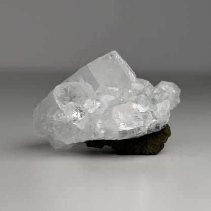 APOPHYLLITE CLUSTER