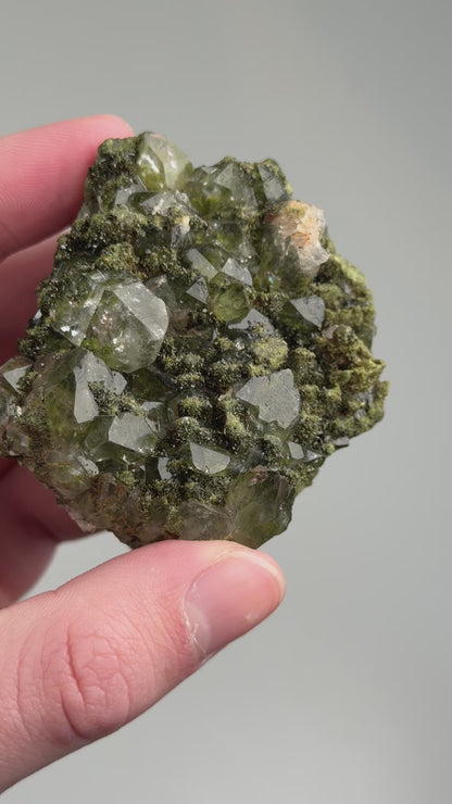 forest epidote cluster with clear quartz