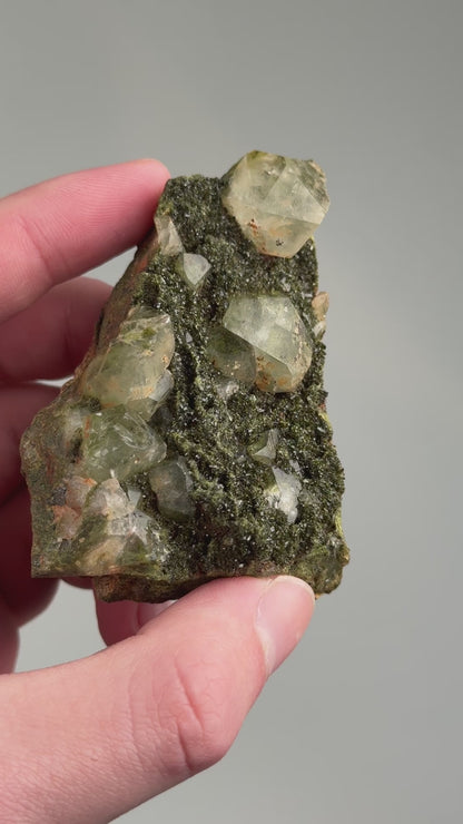 forest epidote cluster with quartz